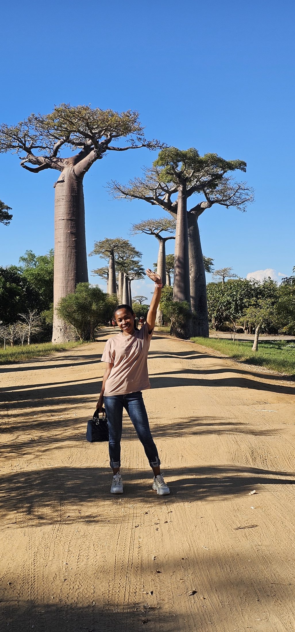 Avenue of the Baobabs sunset experience